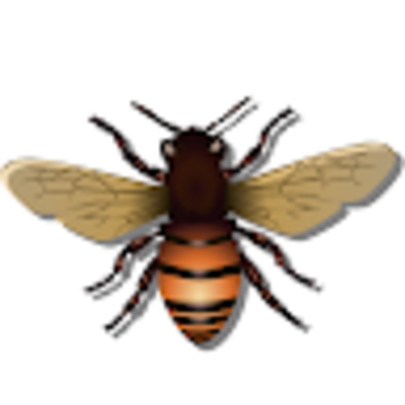 Meet your Posher, Breeana - Picture 1 of 1